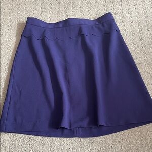 Banana Republic Skirt